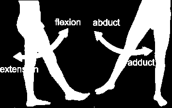 HÖFT Gående: Hälta, belastningsfas Stående: Trendelenburgs test (gluteus medius), benlängdskillnad stående (crista) och liggande (häl,med.