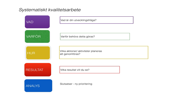 Framgångsrika processer och aktiviteter inom skolområdet under 2013 Inom Skolområdet har vi flera framgångsrika processer för lärande.