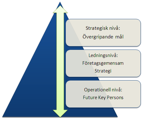 5. Analys I slutet av den teoretiska referensramen ställdes tre frågor som utgör föremål och ramverk för denna analysdel.