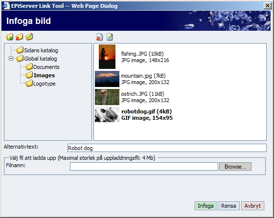 Att arbeta med informationen 37 Infoga bilder För att du skall kunna visa bilder på en sida måste bilden lagras på webbservern.