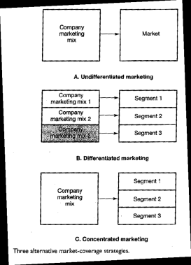 Differentierad olika marknadsmixer till olika segment för att få en klarare träffbild. Koncentrerad man har en och samma marknadsmix fast man siktar in sig till olika segment.