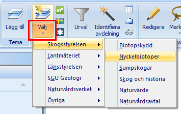 Temat hamnar under Externa teman. På internet finns en hel del karttjänster, så kallade WMS-tjänster (Web Map Service).