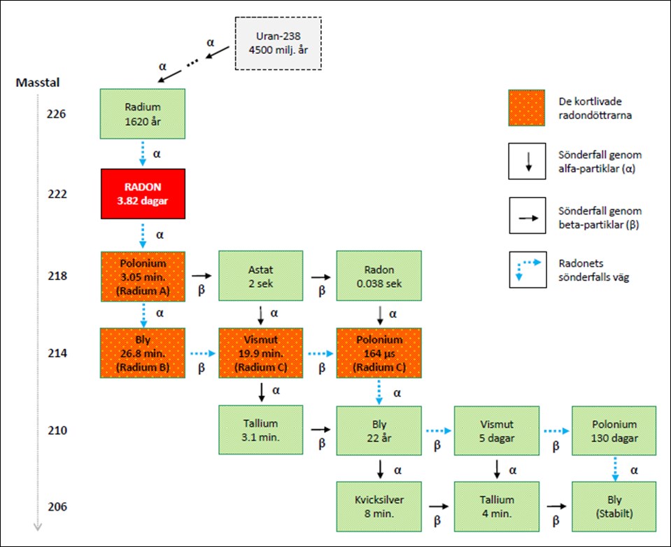 Fig. 4. Modifierad från Brill et al. (1994), visar sönderfallskedjan för 226 Ra och 222 Rn.