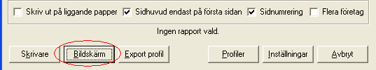 Produkt Version ida 13.4 7 (10) Rapporter/Periodens rapporter/lönespecifikation Blankettyp här ska du välja alternativet Payslip.