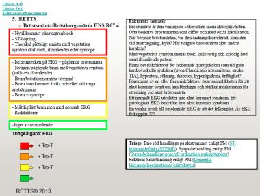 Bild 17 Triagesystemen TEWS och RETTS TEWS 1 RETTS 2 Beslutsunderlag för Bröstsmärta i RETTS Beslutsunderlag för att fånga upp allvarliga tillstånd 1 Triage Early Warning Score 2 Rapid Emergency And