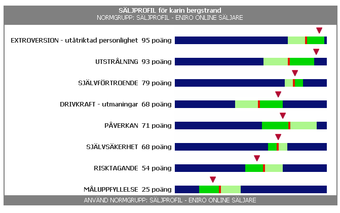 SÄLJPROFILEN Omfattar 8 dimensioner