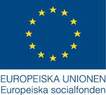 Fastställd av Socialfondens Övervakningskommitté 2015-01-29