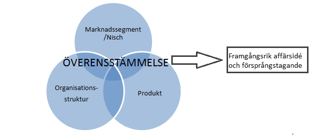 Figur 1 - Modell över en affärsidés olika beståndsdelar som bör situationsanpassas för att skapa en framgångsrik affärsidé 2.2 Vilken är vår marknad och vilken funktion har vi?