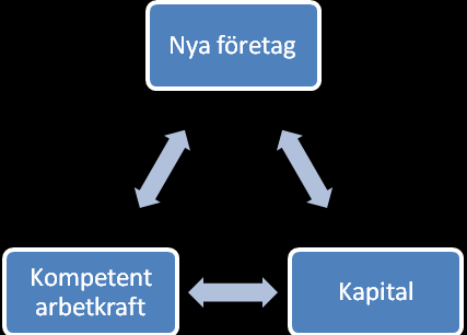 kapital, så även detta kommer beröras, även om det inte ligger i fokus.