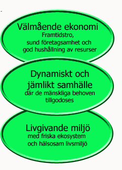 Främja hälsa i en synergistisk kontext.