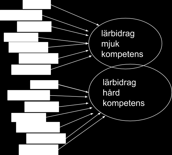 En analys visar alltså att cheferna genom sina svar uppfattar två grova grupper av kunnande som utvecklas.