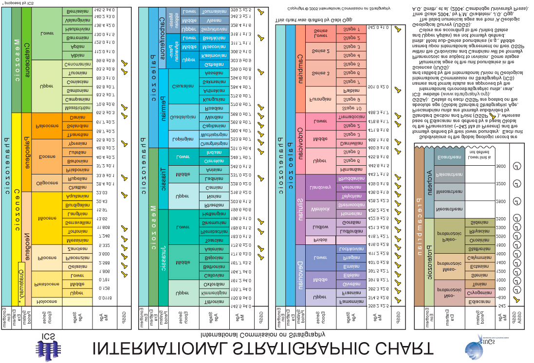 APPENDIX 3: INTERNATIONAL