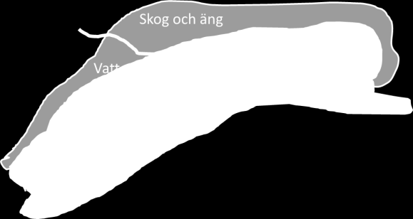 BANANS OLIKA MARKTYPER FAIRWAY Yta ca 16 ha Består av mestadels omväxlande ler, jord och sand. Dominerande grässort är vitgröe med inslag av rödsvingel och ängsgröe.