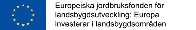 Det är betydelsen bakom den franska akronymen LEADER, som de flesta av oss lärt känna sedan Finlands inträde i EU. Inom den Europeiska unionen har vi idag ca.