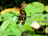 Zoomning av en bild på skärmen 1. Aktivera uppspelningsläget och använd [4] och [6] till att bläddra igenom bilderna tills önskad bild visas. 2.