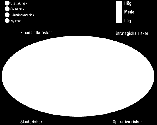 WÄRTSILÄ OYJ ABP / ÅRSREDOVISNING 2012 / Bolagsstyrning 34 diskussionen om risker och att ge en klar överblick av de områden vi borde fokusera på inom riskhanteringen.