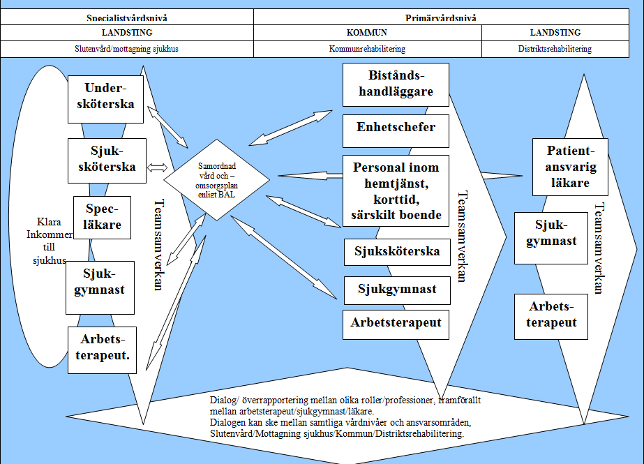 för patienten, unika ingångar i systemet för rehabilitering. Processkartorna kompletteras nedan med text där varje vårdnivå/ansvarsområde, avseende arbetsterapi och sjukgymnastik beskrivs.