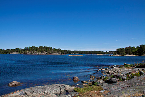 Sacoföreningen önskar alla en vilsam och skön semester Så går vi mot midsommar och semestrarna börjar.