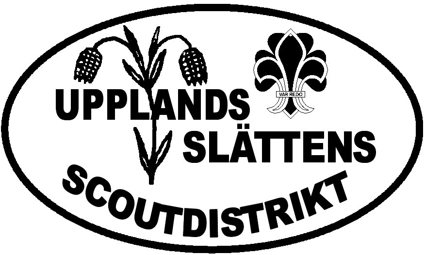 Distriktsstämma för Upplandsslättens scoutdistrikt 19 oktober 2008 Hågadalsskolans matsal i Uppsala 1 Distriktsordförande Mattias Eriksson hälsade alla välkomna och presenterade några deltagare,