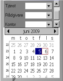 Använd de här pilarna för att flytta mellan månader För att visa ett antal dagar i följd, markera bara dagarna med musen. Dagboken visar då de valda dagarna.