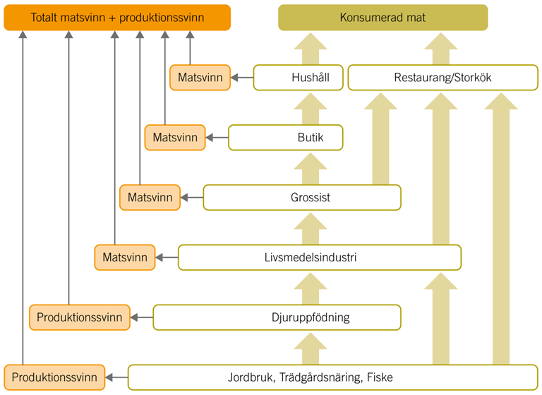 Matavfall: Matavfall är summan av matsvinn, det vill säga det som är undvikligt, och det s.k. oundvikliga matavfallet som ben från kött, kaffesump, äggskal, plommonkärnor och bananskal etc.