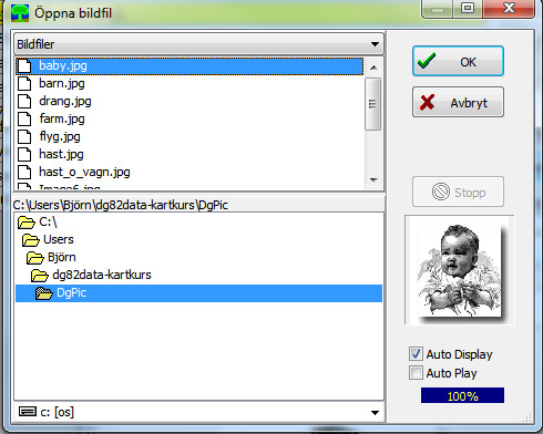 Kartfunktionen i Disgen 8.2d, Grundkurs 43 Nu skall du avrunda med att lägga in en bild på Kalle Test. I vår mapp DgPic ligger en bild på ett litet barn, baby.jpg.