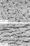 Blyackumulatr (bilbatteri) Blyackumulatr Krrsin And: Pb(s) + SO 4 PbSO 4 (s) + 2e - Katd: PbO 2 (s) + 4H + + SO 4 + 2e - PbSO 4 (s) + 2H 2 O = -.359 V = +1.