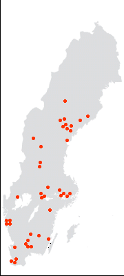 Bild 6. Fjärrvärmenätet i Sverige. 15 Fjärrvärme och framtiden Dagens samhälle tänker mer och mer på miljön. Tillgången på miljövänliga lösningar inom energi är viktigt.