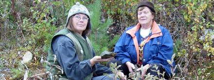 Skulle plocka blåbär hittade guld i skogen Siw och Harriet driver egen smyckesbutik Och materialet till sina smycken hittar de själva i skogen.