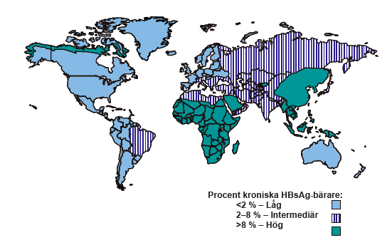 Risk för hepatit B, förekomst i världen och smittvägar i Sverige WHO 2004