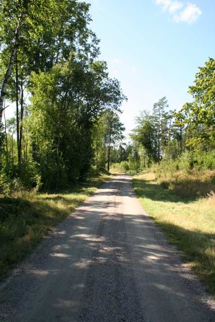 Om Skog & Lantbruk Skog & Lantbruk är ett rådgivningsföretag som arbetar med följande tjänster inom jord och skog: - Fastighetsförmedling - Generationsskifte -