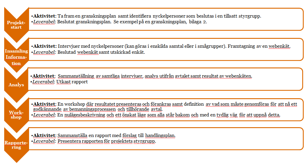 1.5 Genomförande Rekommendationerna i denna förstudie utgår ifrån informationsinsamling inom flertalet enheter inom Marks kommun vilket redogörs för i kapitel : Genomförda intervjuer och