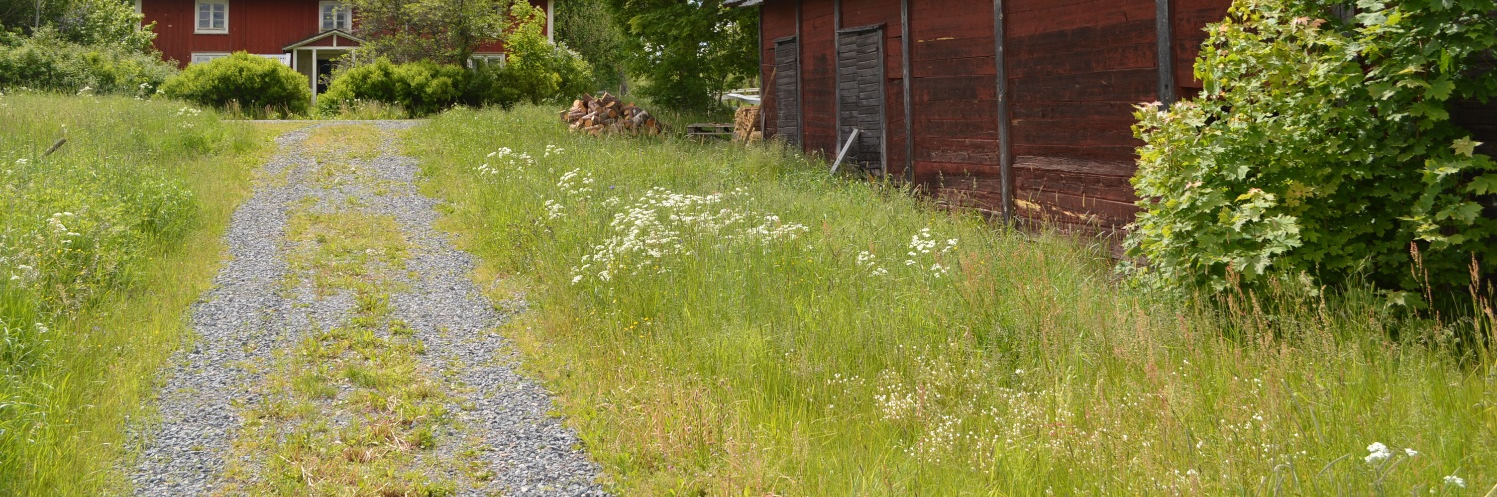 Växtlig skogsmark med virkesförråd om ca 2 700 m3sk. Medelbonitet ca 8,1 m3sk/ha och år. Slutavverkningsskog S1/S2 om ca 600 m3sk.