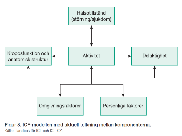 ICF För ett gemensamt språk, förbättrad kommunikation Säker data Body structure Assist function Förflyttning: Att gå- gå