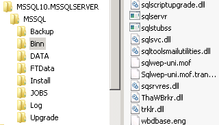 KATALOGSTRUKTUREN FÖR MS SQL SERVER 2008 Detta visar installation med default värden.