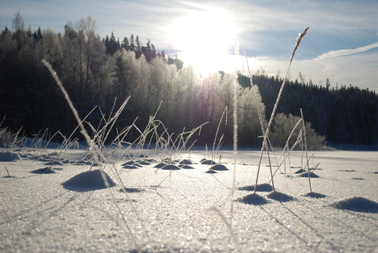 Vinterbild över sjön