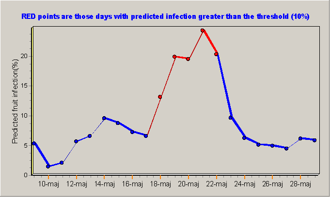 Figur nr.3 Graf från gråmögelprogrammet som visar om risken är mer än tio procent för förutspådd fruktinfektion.