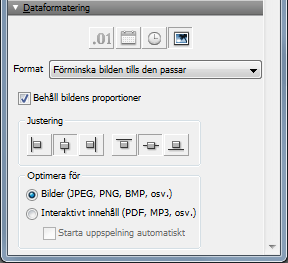 Kapitel 3 Skapa databaser 94 5. Om du vill utforma komponenten för sekunder och bråkdelar av sekunder går du till dataformateringsområdet och klickar på Tal och väljer önskade formateringstillval.