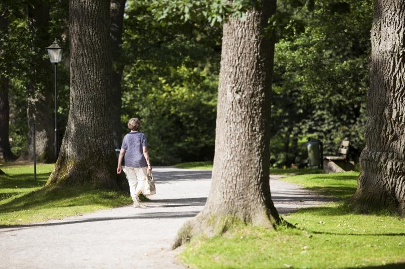 Finansiell analys Prognos - Pensionsskulden (inkl.