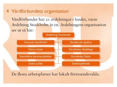 Avdelningens organisationsutredning Representantskapet 2008 beslöt att tillsätta en arbetsgrupp med uppdrag att se över avdelningens organisation för bästa medlemsnyttan.