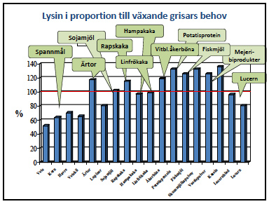 till gris Bild: