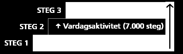 Regionala terapigruppen Fysisk aktivitet