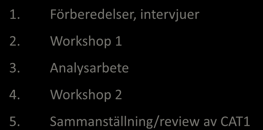 vilka tillsammans löper över en tidsperiod om upp till 2 år 1. Förberedelser, intervjuer 2. Workshop 1 3. Analysarbete 4. Workshop 2 5.