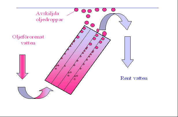 Principskiss över hur de små oljedropparna sammanslås till större oljedroppar, som flyter upp till ytan.