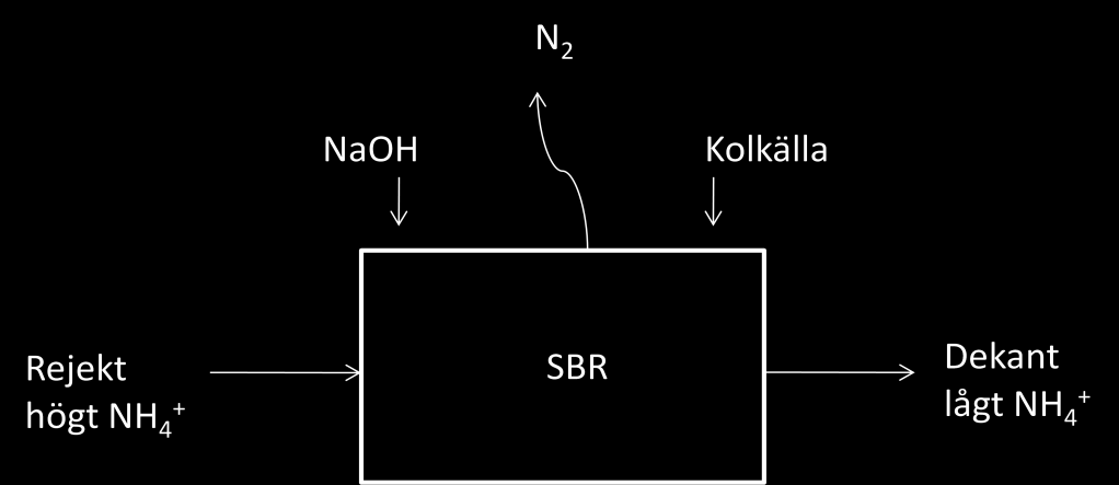 Det finns ännu inga rapporterade fullskale-erfarenheter med anammox och rötrestbehandling från biogasanläggningar. Dock sker utveckling på området i mindre skala i Tyskland. 3.2.