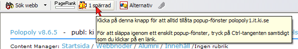 11.2 Bilaga 2: Tillåta popup-fönster för förhandsvisning 11.2.1 Internet Explorer Gå till menyn Tools och välj Internet Options Klicka på fliken Privacy och sedan på knappen Settings längst ned till höger i dialogrutan bredvid kryssrutan Block pop-ups.