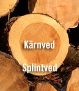 Superwood är godkänt för bruksklass 3 enligt standarden EN 335-1 (trä ovan jord som ofta fuktas till 20 %).