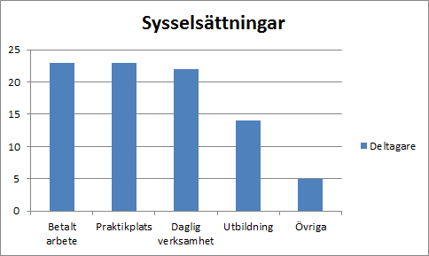 18 6.2 Sysselsättningar arbetet riktas mot I detta diagram redovisas vilka sysselsättningar som deltagarna riktar sitt arbete mot.