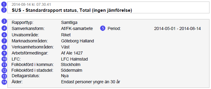 14. Klicka på knappen Skapa Rapport för att öppna rapporten i ett PDF-dokument. 15.