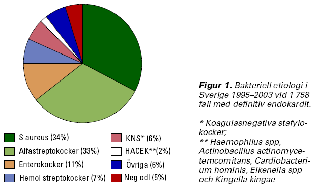 När man studerar den bakteriella etiologin för endokardit finner man att streptokocker fortfarande är den vanligaste orsaken till endokardit och återfinns i cirka 40 procent av fallen.